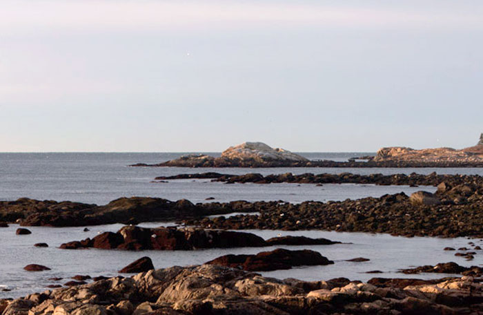 Brace's Rock, Brace's Cove, Gloucester. Photo © 2011 Winston Boyer
